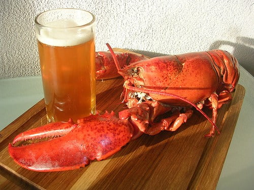 Lobster and Beer at Goathouse Brewing