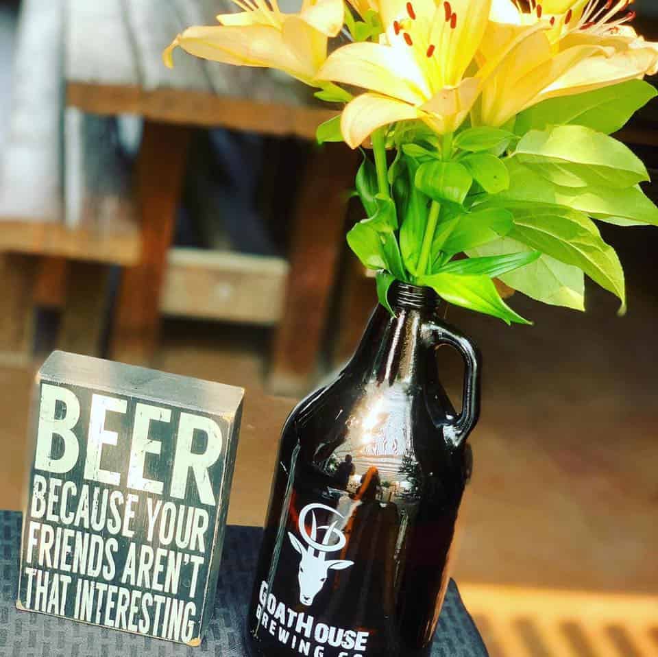 Plant growing in beer bottle